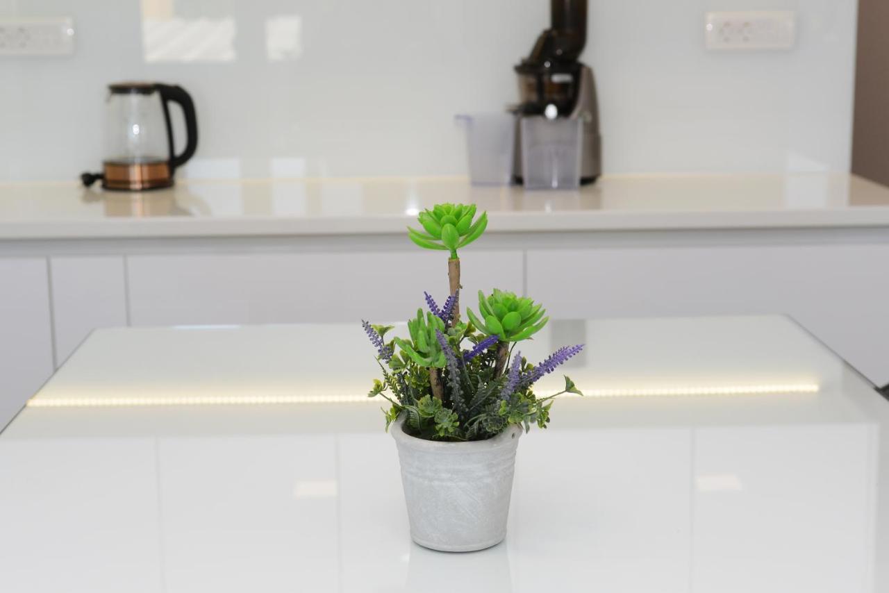 Apartman Milena โซลิน ภายนอก รูปภาพ
